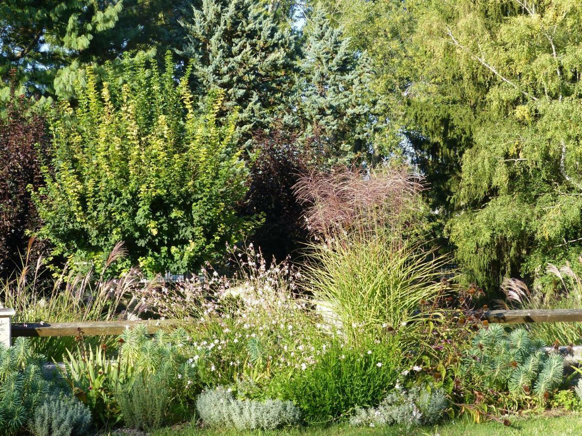 Manoir De La Vigneraie Bed & Breakfast Athee-sur-Cher Exterior photo
